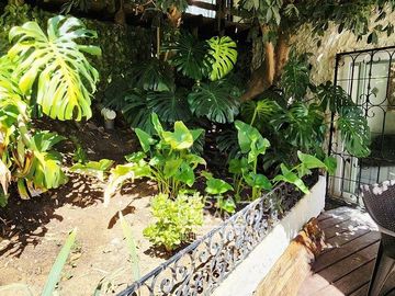 place photo 36