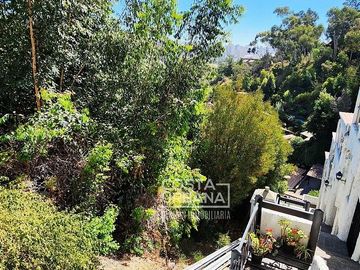 place photo 49