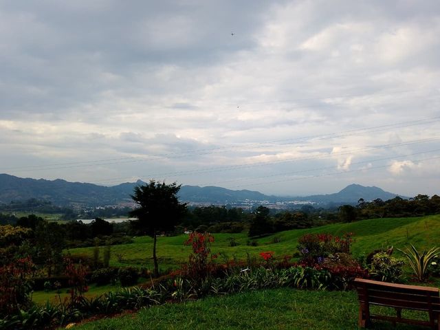 place photo 23