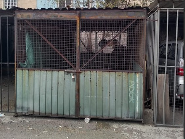 place photo 11