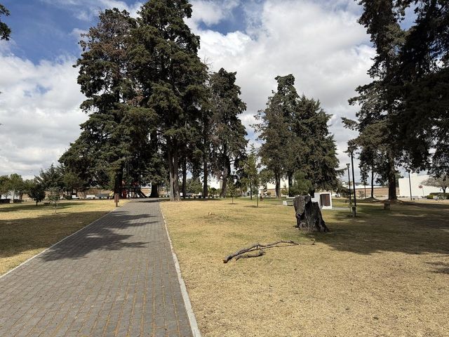 place photo 40
