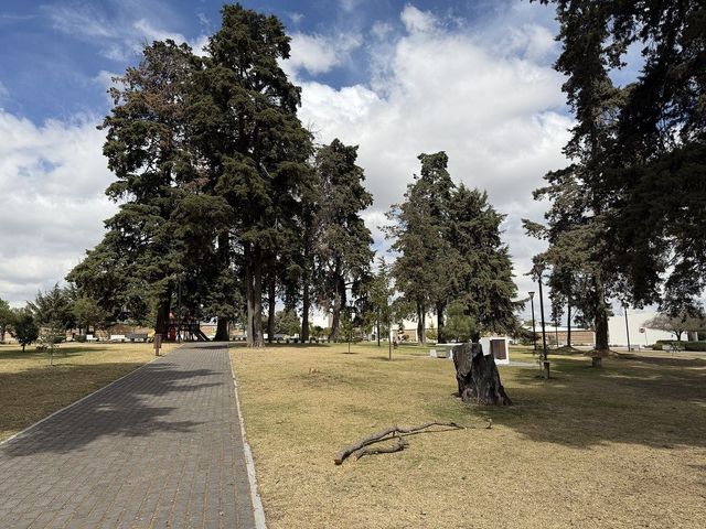 place photo 41
