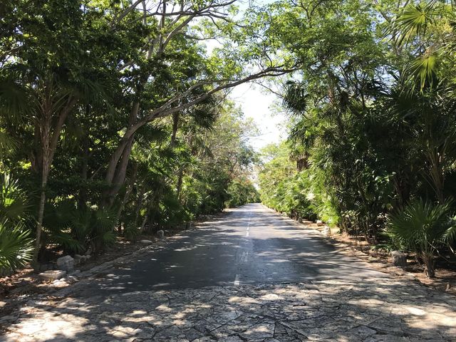 place photo 40