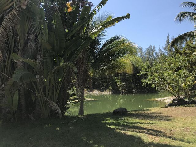 place photo 42