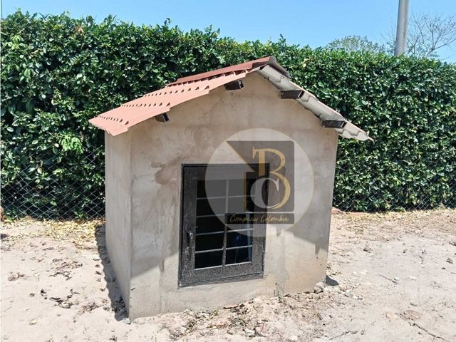 place photo 40