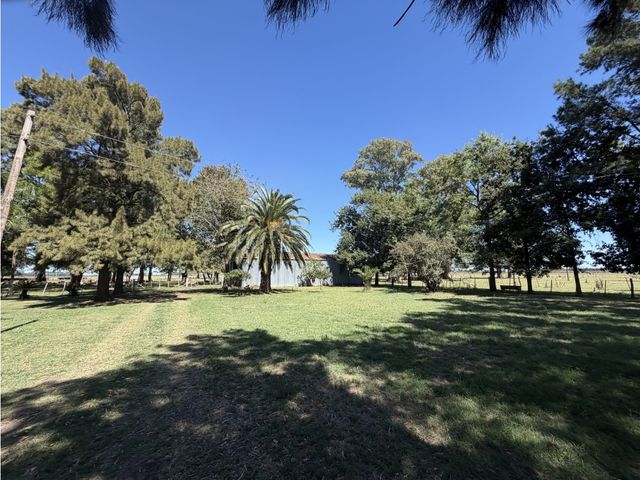 place photo 21