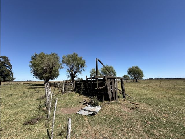 place photo 33