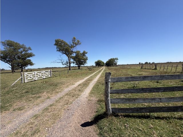place photo 34