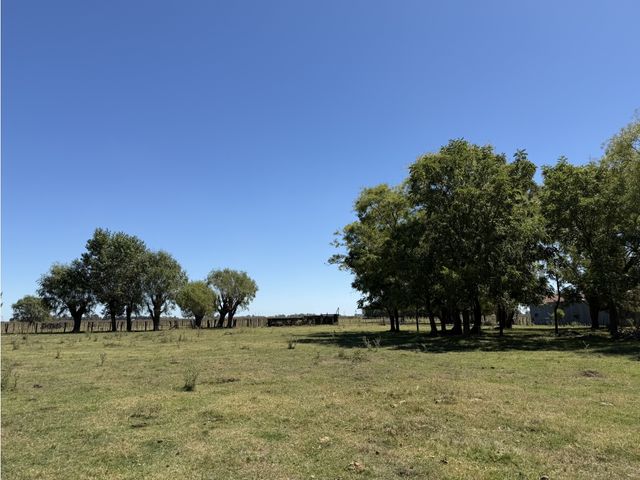 place photo 29