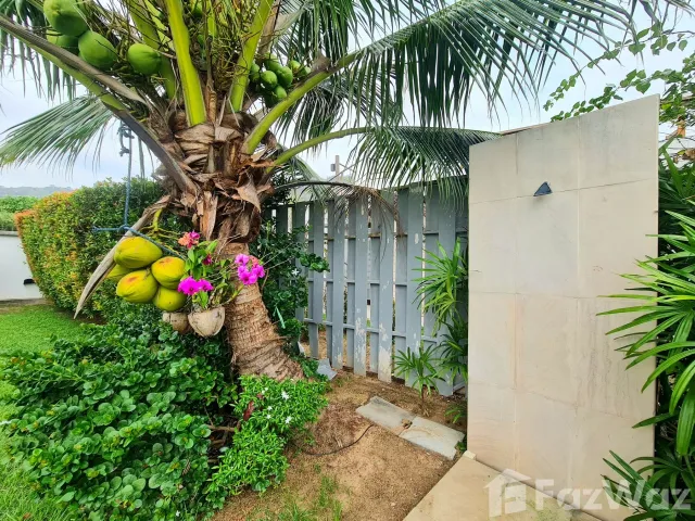 place photo 35