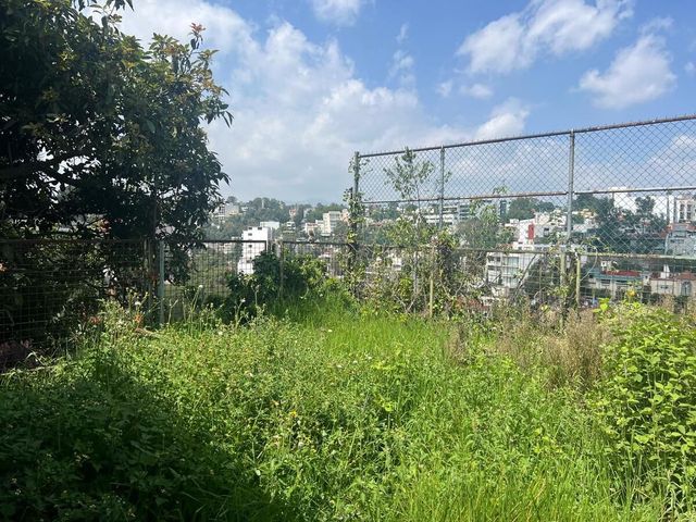 place photo 14