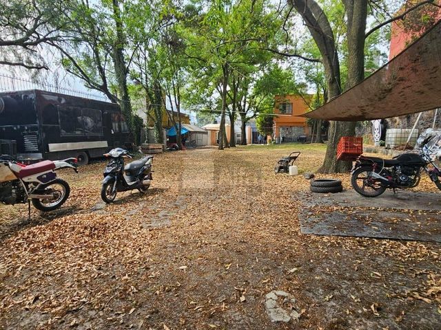 place photo 26