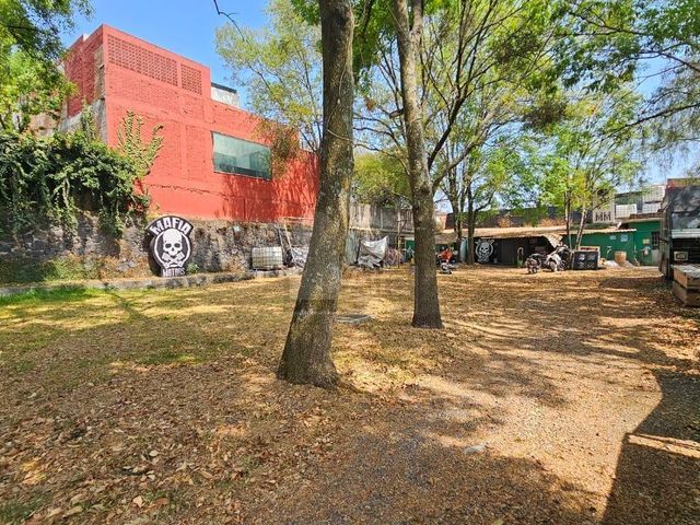 place photo 15