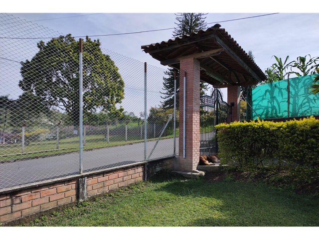 place photo 24