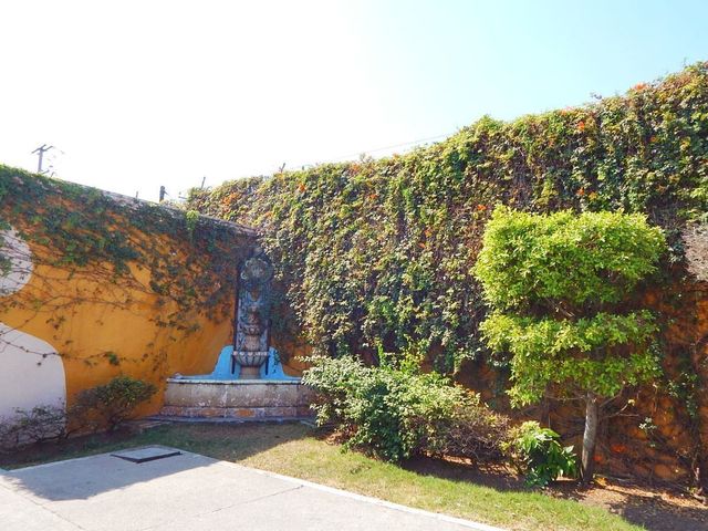 place photo 24