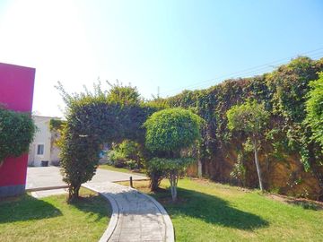 place photo 23