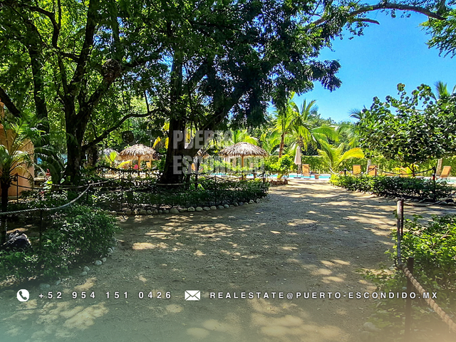 place photo 19
