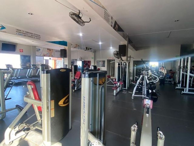 place photo 7