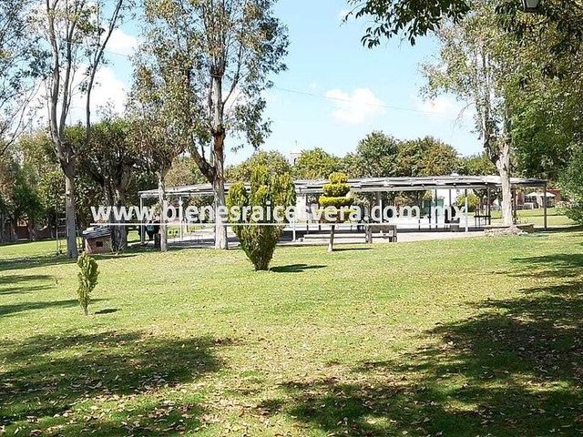 place photo 28