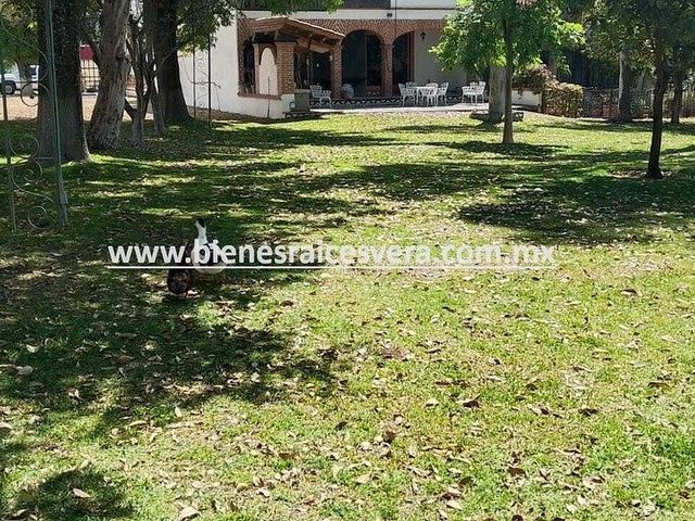 place photo 32