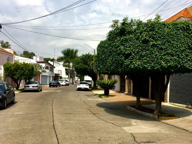 place photo 38