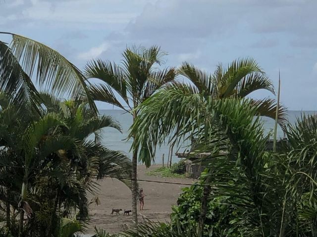 place photo 37