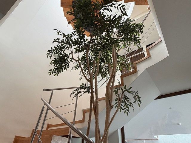 place photo 41