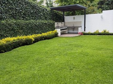 place photo 37