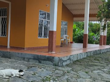 place photo 25