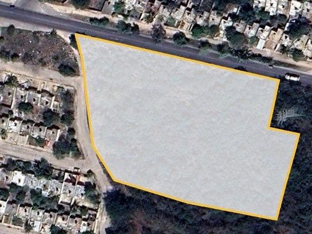 place photo 11