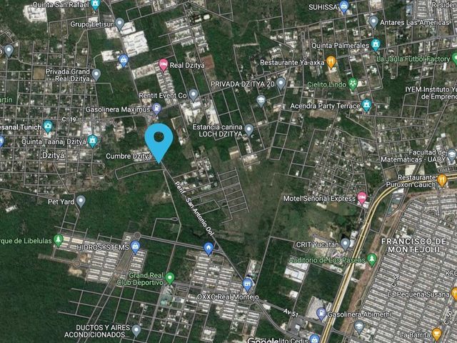 place photo 11