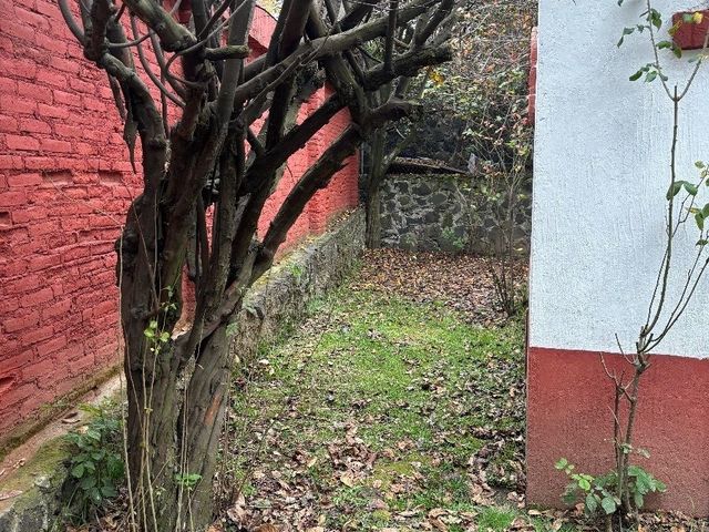 place photo 32