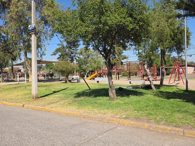 place photo 21