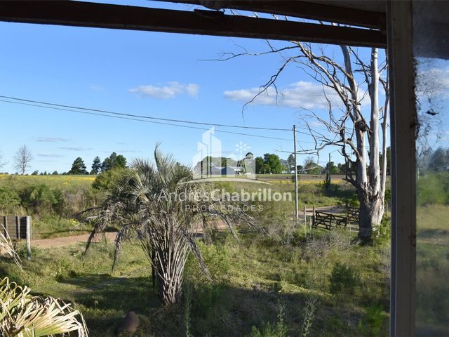 place photo 30