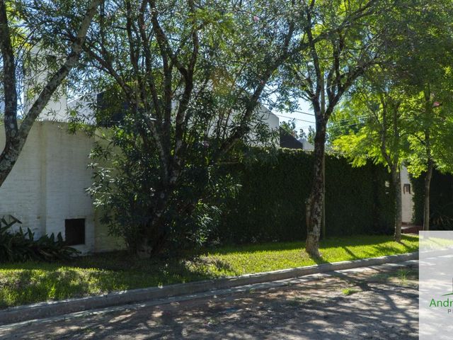 place photo 39
