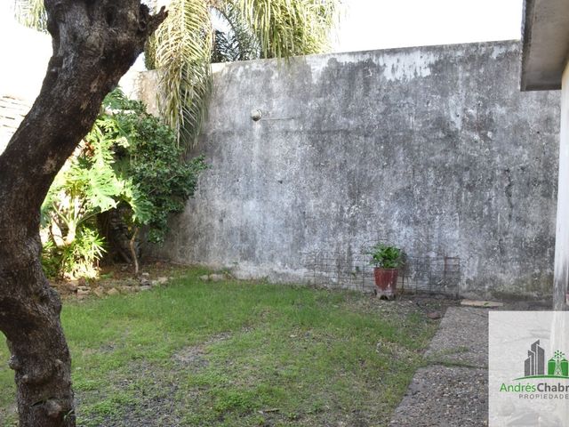 place photo 23
