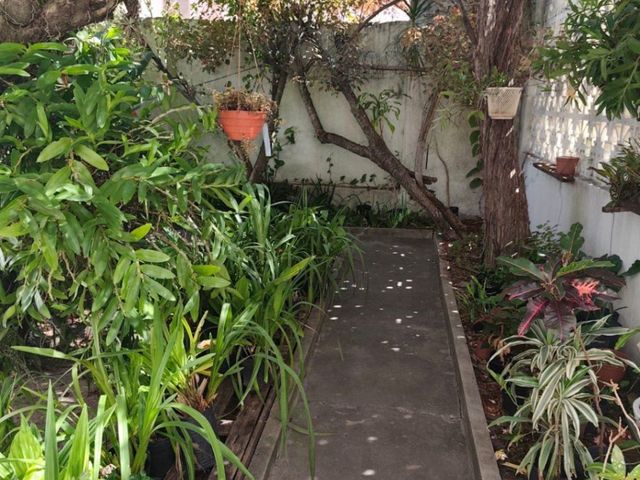 place photo 46