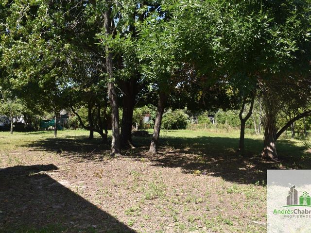 place photo 18