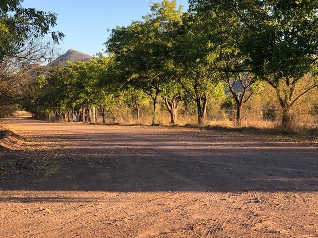 place photo 11
