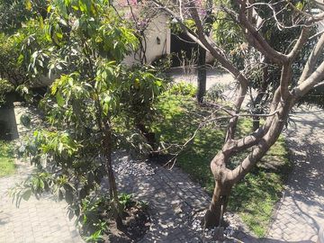 place photo 20