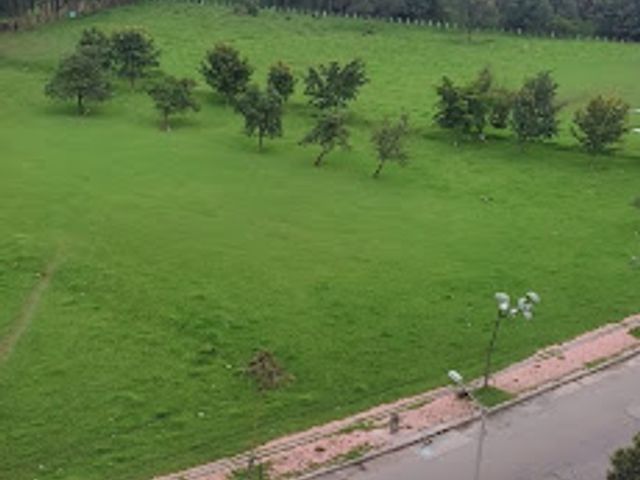 place photo 29