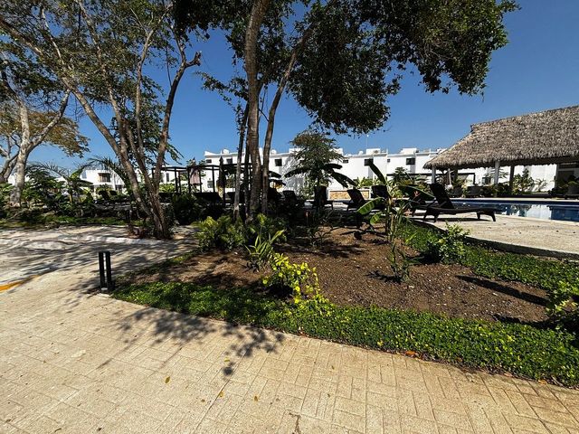 place photo 47