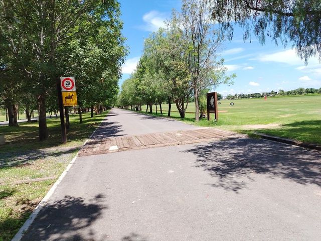 place photo 42