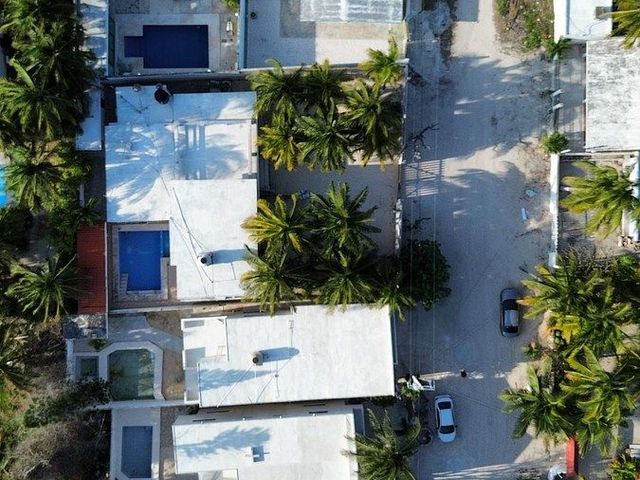place photo 19