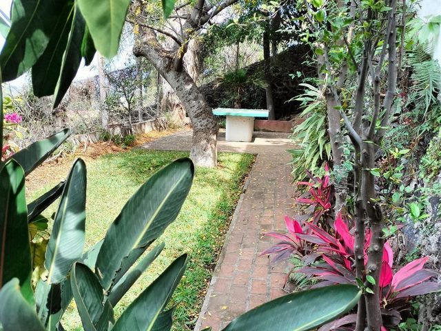 place photo 48