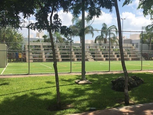 place photo 25