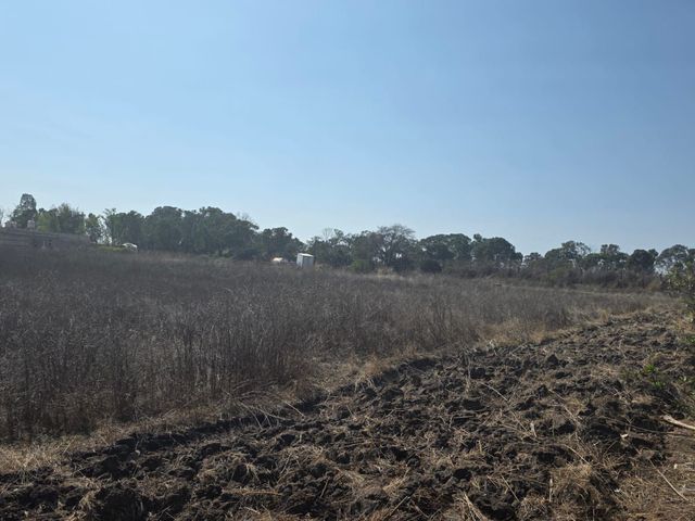 place photo 18