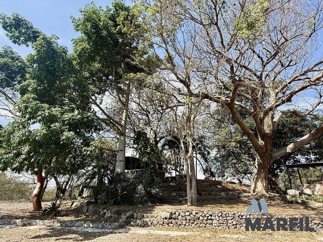 place photo 25