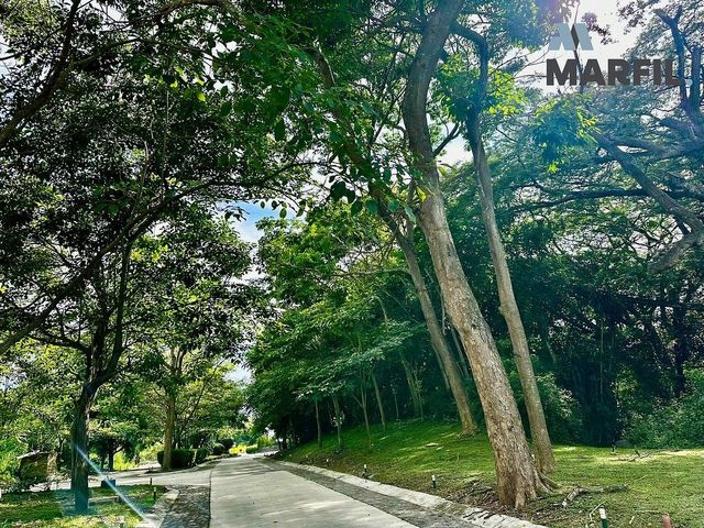 place photo 43