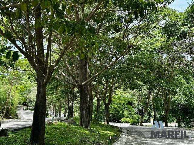 place photo 38